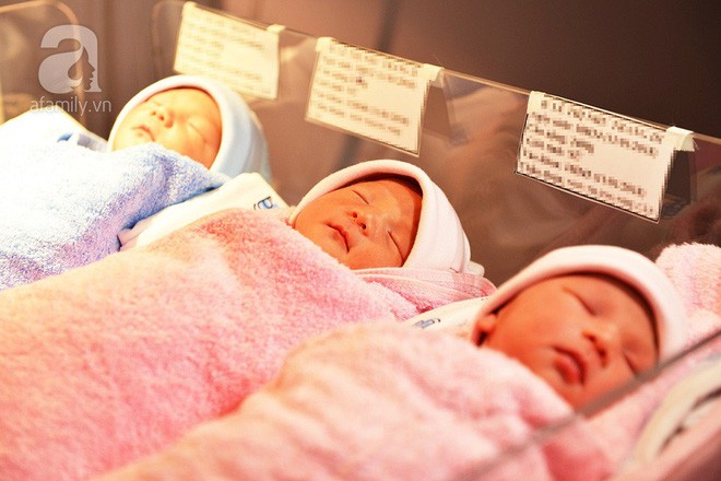 TP.HCM: Mang tam thai sản phụ vẫn sinh thường các bé hoàn toàn khỏe mạnh, đáng yêu
