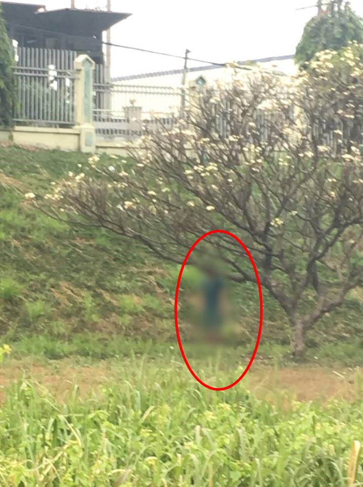 Người đàn ông chết trong tư thế treo cổ trên cây hoa sứ, chân chỉ cách mặt đất vài cm