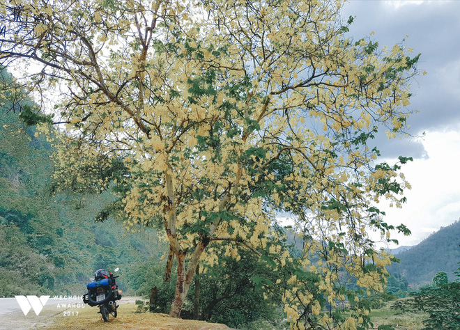 Trần Đặng Đăng Khoa và chiếc xe máy đi vòng quanh thế giới: Bình thản lên đường, bình thản tự do Trần Đặng Đăng Khoa và chiếc xe máy đi vòng quanh thế giới: Bình thản lên đường, bình thản tự do