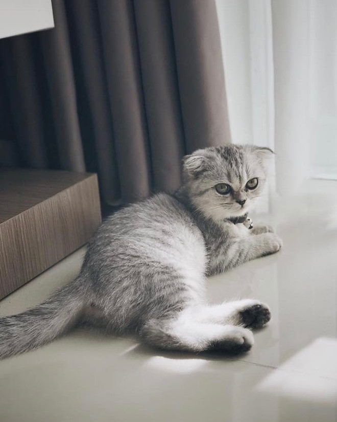 Chân dung cô gái xinh đẹp được cho là bạn gái mới của Soobin Hoàng Sơn Chân dung cô gái xinh đẹp được cho là bạn gái mới của Soobin Hoàng Sơn