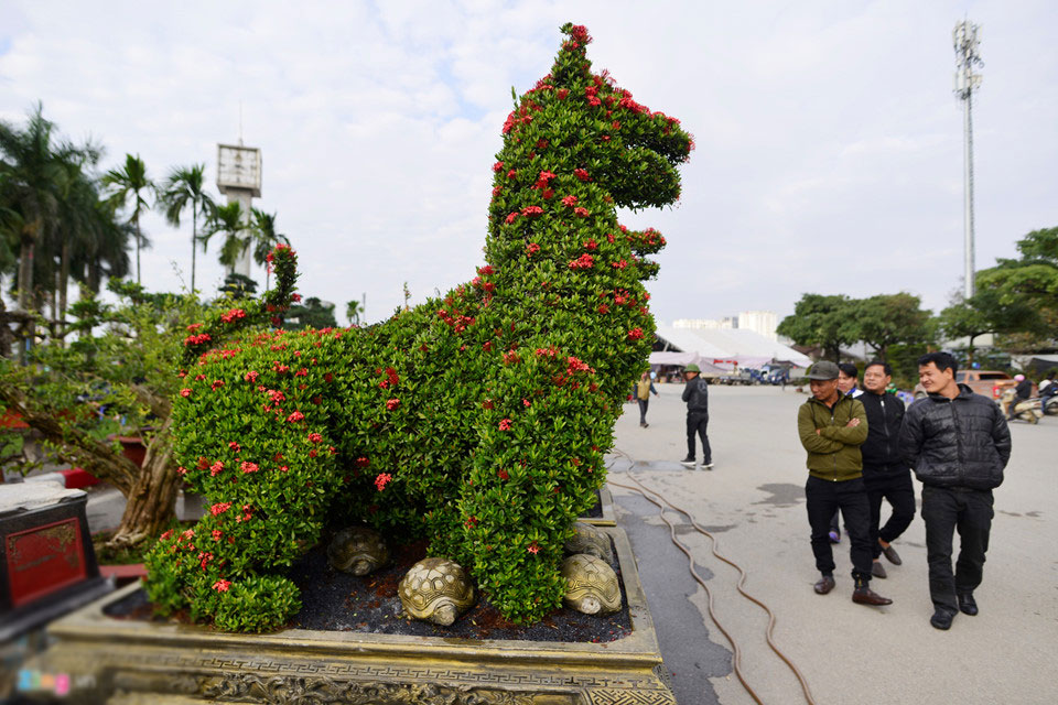 Cây cảnh hoa mẫu đơn hình chó 350 triệu một cặp ở Hà Nội