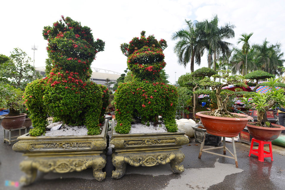 Cây cảnh hoa mẫu đơn hình chó 350 triệu một cặp ở Hà Nội