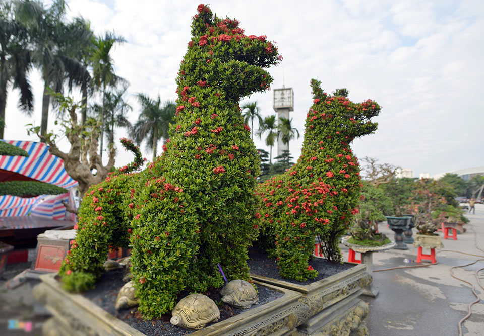 Cây cảnh hoa mẫu đơn hình chó 350 triệu một cặp ở Hà Nội