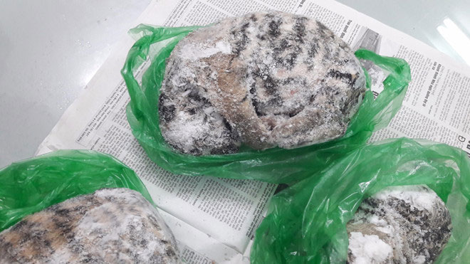 9X vận chuyển 5 chúa sơn lâm đông lạnh bị khởi tố