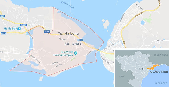 9X vận chuyển 5 chúa sơn lâm đông lạnh bị khởi tố