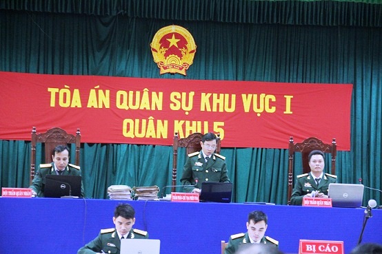 Xét xử 21 bị cáo vụ phá rừng pơ mu khủng ở Quảng Nam