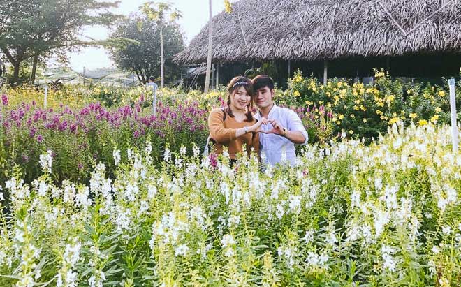 Không thể tin nổi giữa Sài Gòn có cánh đồng hoa đẹp đến thế!