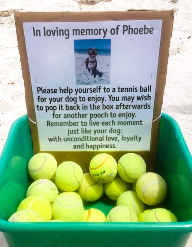 12 khoảnh khắc chứng minh cuộc sống còn nhiều người tốt