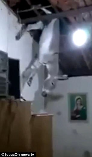 Đang ăn cơm, thấy một con lừa từ trên trời rơi xuyên mái nhà xuống đất