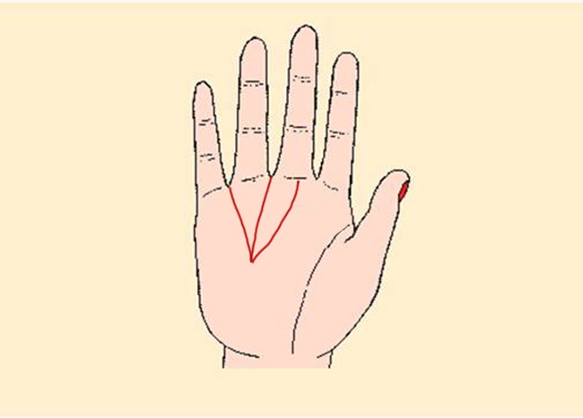 Nếu bạn có 4 đường chỉ tay này, không sớm thì muộn bạn sẽ sống trong giàu sang phú quý Nếu bạn có 4 đường chỉ tay này, không sớm thì muộn bạn sẽ sống trong giàu sang phú quý