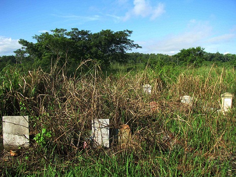 Phước tám ngón: Câu chuyện khởi đầu tội lỗi
