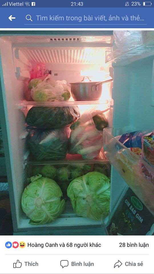 Những cô bạn dùng cả thanh xuân để biến chiếc tủ lạnh thành tiệm spa mini