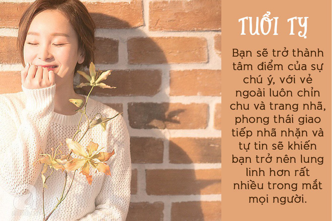 3 con giáp đi đến đâu cũng được săn đón nồng nhiệt trong năm Mậu Tuất 2018 3 con giáp đi đến đâu cũng được săn đón nồng nhiệt trong năm Mậu Tuất 2018
