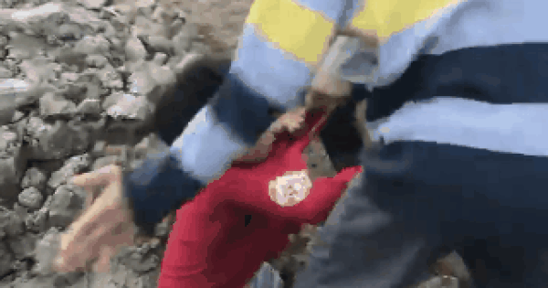 Ăn trộm ngô, bé trai bị chủ ruộng đánh, đấm liên tiếp vào mặt gây phẫn nộ