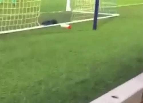 Khán giả bị bắt vì tiểu tiện vào chai nước của thủ môn