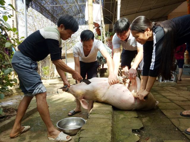 U23 Việt Nam vs U23 Qatar: Gia đình Tiến Dũng mổ lợn, thịt nhím đãi cả làng