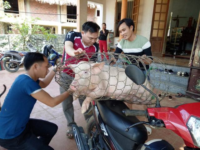 U23 Việt Nam vs U23 Qatar: Gia đình Tiến Dũng mổ lợn, thịt nhím đãi cả làng