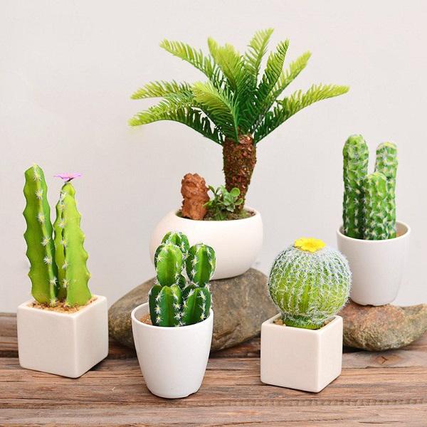 Cứ tiện tay làm những việc phạm cấm kị này, gia chủ chỉ có gặp họa lớn Cứ tiện tay làm những việc phạm cấm kị này, gia chủ chỉ có gặp họa lớn