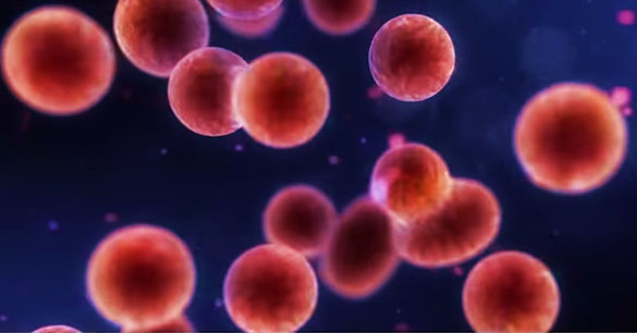 4 cách phòng ngừa đề kháng kháng sinh