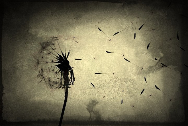 10 bài học quý giá bạn nhận được sau khi tình yêu tan vỡ