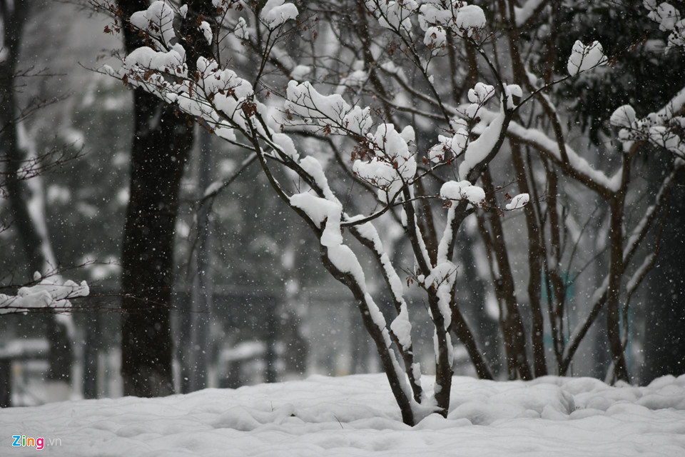 Tuyết phủ kín sân vận động diễn ra trận chung kết U23 châu Á