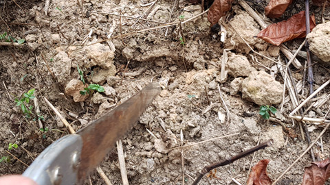 Án mạng kinh hoàng: Giết chủ nợ rồi chôn xác phi tang trong rẫy cà phê