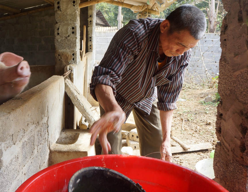 Nếu không làm thủ môn, Bùi Tiến Dũng nói, có thể về quê làm nông, nuôi chó, gà, vịt, heo, lợn