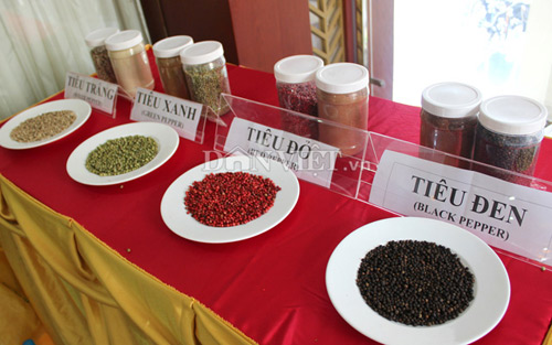 Bộ NNPTNT cảnh báo giảm diện tích để tránh vỡ trận ngành tiêu Bộ NNPTNT cảnh báo giảm diện tích để tránh vỡ trận ngành tiêu