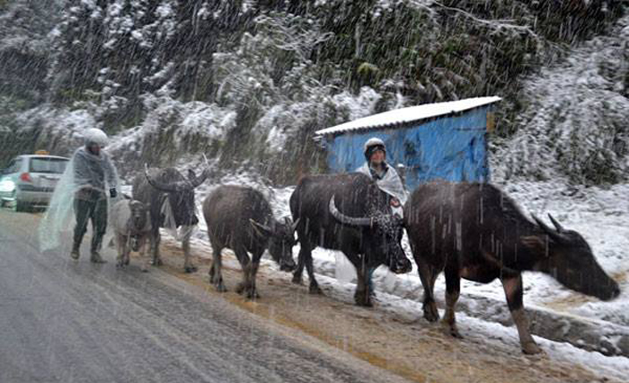 Dự báo thời tiết 10 ngày tới: Ngày càng rét, Mẫu Sơn -1 độ