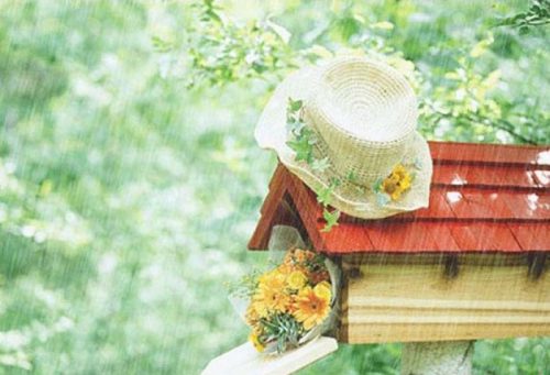 Thứ Hai của bạn (29/1): Kim Ngưu nhìn ra cơ hội mới Thứ Hai của bạn (29/1): Kim Ngưu nhìn ra cơ hội mới