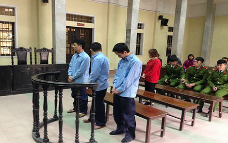 Vén màn bí mật của những đại gia cao hổ