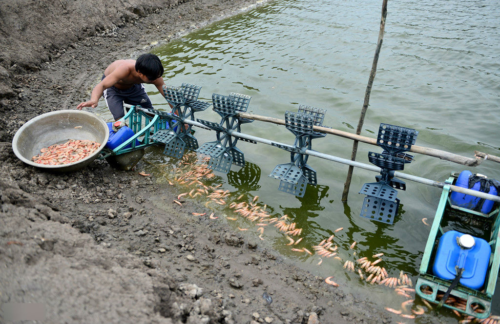 TP.HCM gửi tối hậu thư cho chủ bãi rác Đa Phước