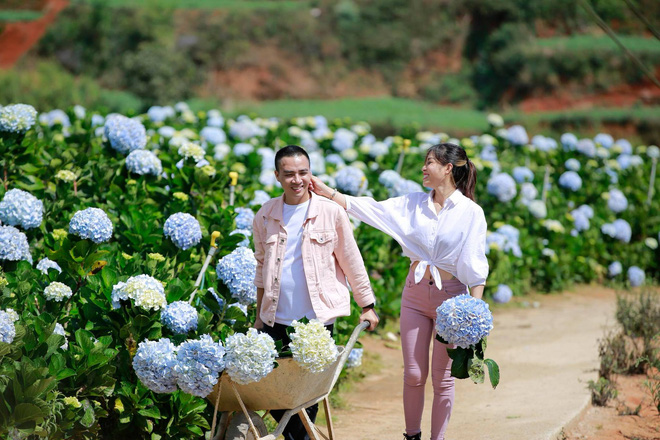 MC Hoàng Linh hạnh phúc như cô gái lần đầu biết yêu trong bộ ảnh cưới tại vườn cẩm tú cầu Đà Lạt MC Hoàng Linh hạnh phúc như cô gái lần đầu biết yêu trong bộ ảnh cưới tại vườn cẩm tú cầu Đà Lạt