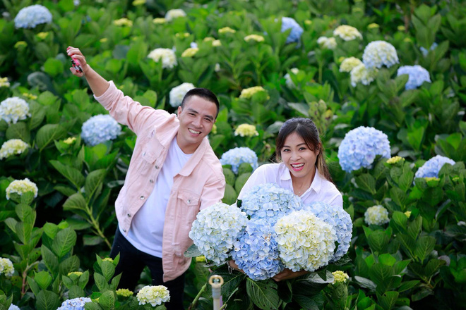 MC Hoàng Linh hạnh phúc như cô gái lần đầu biết yêu trong bộ ảnh cưới tại vườn cẩm tú cầu Đà Lạt MC Hoàng Linh hạnh phúc như cô gái lần đầu biết yêu trong bộ ảnh cưới tại vườn cẩm tú cầu Đà Lạt