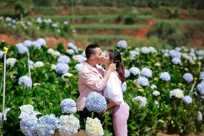 MC Hoàng Linh hạnh phúc như cô gái lần đầu biết yêu trong bộ ảnh cưới tại vườn cẩm tú cầu Đà Lạt MC Hoàng Linh hạnh phúc như cô gái lần đầu biết yêu trong bộ ảnh cưới tại vườn cẩm tú cầu Đà Lạt