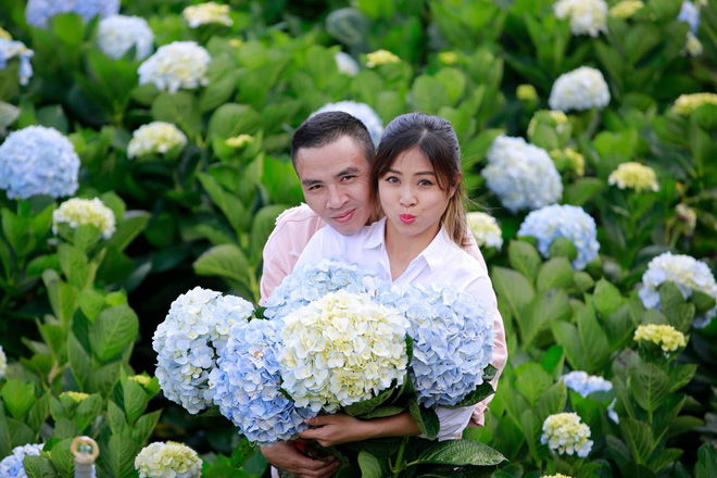 MC Hoàng Linh hạnh phúc như cô gái lần đầu biết yêu trong bộ ảnh cưới tại vườn cẩm tú cầu Đà Lạt MC Hoàng Linh hạnh phúc như cô gái lần đầu biết yêu trong bộ ảnh cưới tại vườn cẩm tú cầu Đà Lạt