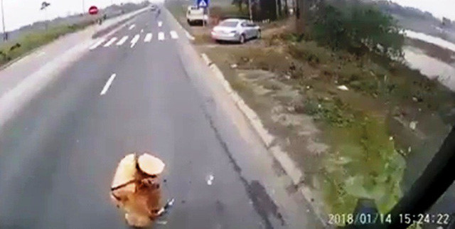 CSGT giẫm lên vật nghi tiền: Không đủ căn cứ xác định nhận mãi lộ