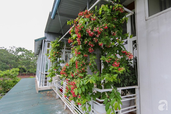 Chuyện tình xúc động của NSND Thanh Hoa: Gần 70 tuổi mới được mặc váy cô dâu Chuyện tình xúc động của NSND Thanh Hoa: Gần 70 tuổi mới được mặc váy cô dâu