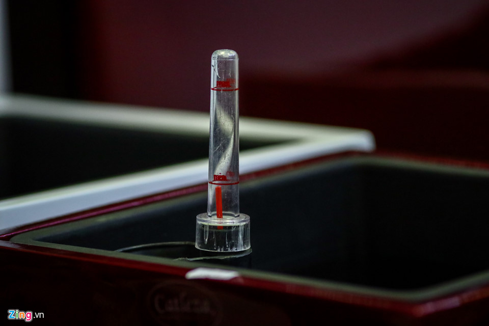 Mì tôm, hoa vải, quần áo giảm giá theo nhau ra chợ Tết Sài Gòn