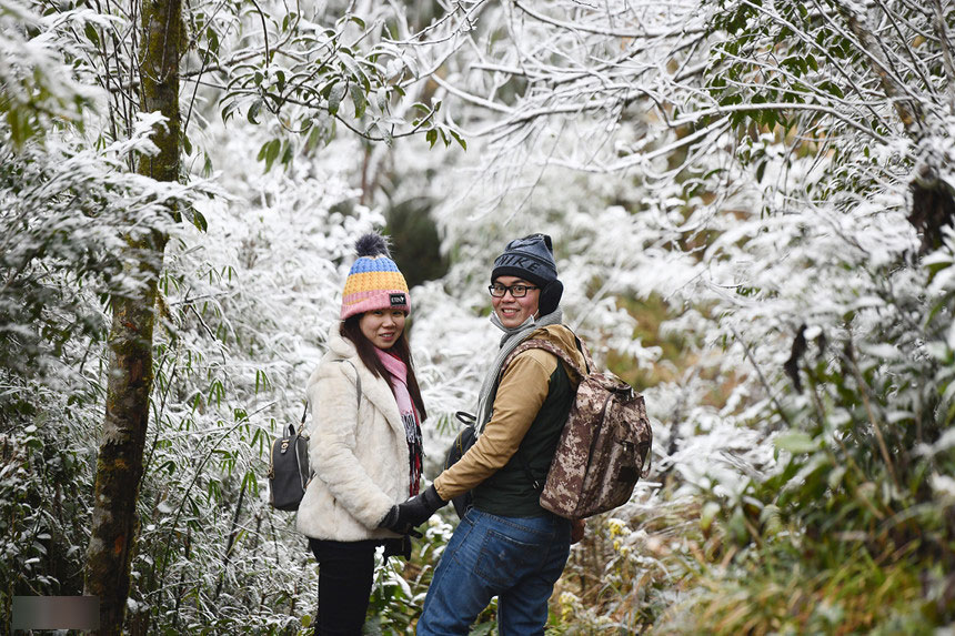 Kinh nghiệm cần nhớ khi săn tuyết ở Sa Pa