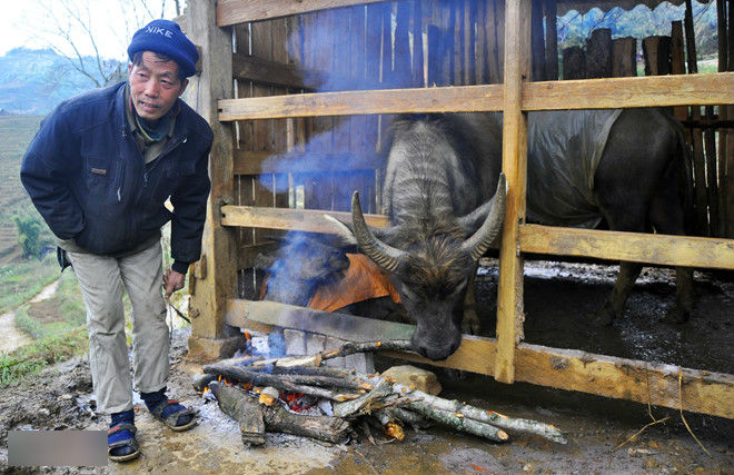 Thủ tướng ra công điện ứng phó với rét đậm, rét hại