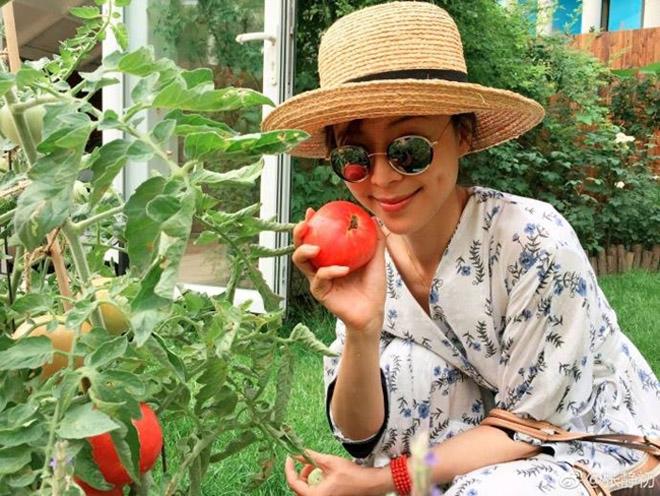 Cuộc đời không-ai-dám-cưới của mỹ nữ từng bị tẩy chay vì đắc tội với Phạm Băng Băng