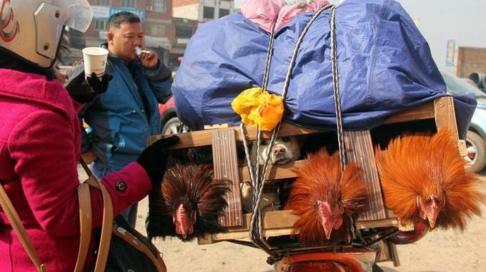 Những đứa trẻ vượt hàng trăm km trên xe máy về quê ăn Tết trong giá lạnh