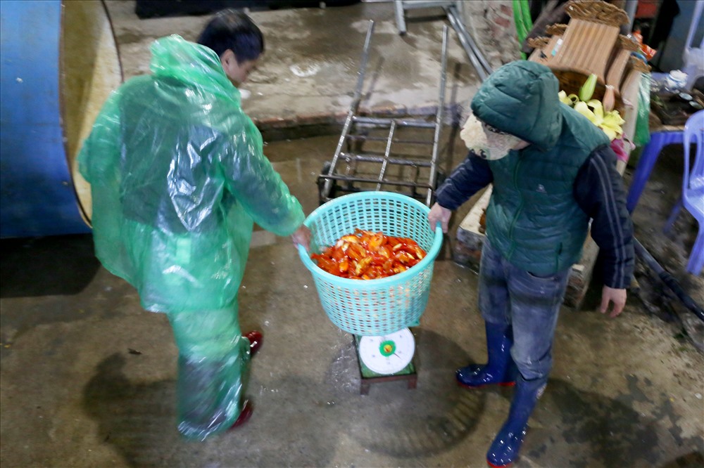 Chợ cá lớn nhất Hà Nội rực vàng trước ngày cúng ông Công ông Táo