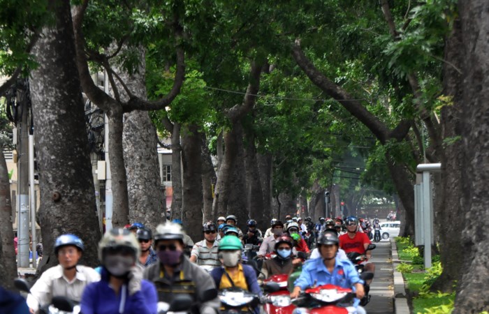 Đường Tôn Đức Thắng thay đổi bất ngờ sau khi hàng cổ thụ bị đốn hạ Đường Tôn Đức Thắng thay đổi bất ngờ sau khi hàng cổ thụ bị đốn hạ