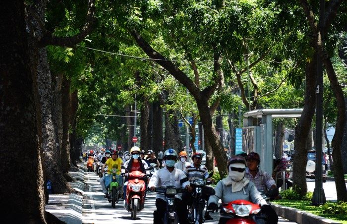 Đường Tôn Đức Thắng thay đổi bất ngờ sau khi hàng cổ thụ bị đốn hạ Đường Tôn Đức Thắng thay đổi bất ngờ sau khi hàng cổ thụ bị đốn hạ