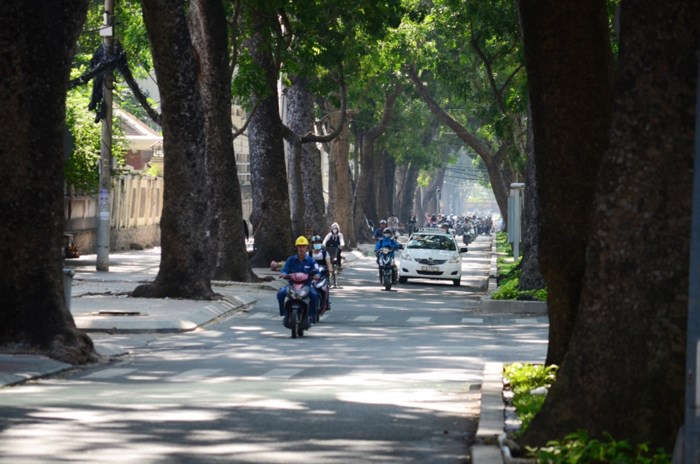 Đường Tôn Đức Thắng thay đổi bất ngờ sau khi hàng cổ thụ bị đốn hạ Đường Tôn Đức Thắng thay đổi bất ngờ sau khi hàng cổ thụ bị đốn hạ