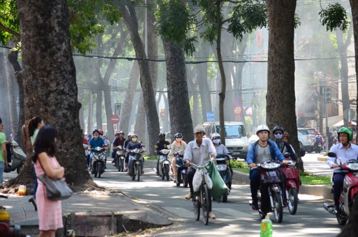 Đường Tôn Đức Thắng thay đổi bất ngờ sau khi hàng cổ thụ bị đốn hạ Đường Tôn Đức Thắng thay đổi bất ngờ sau khi hàng cổ thụ bị đốn hạ