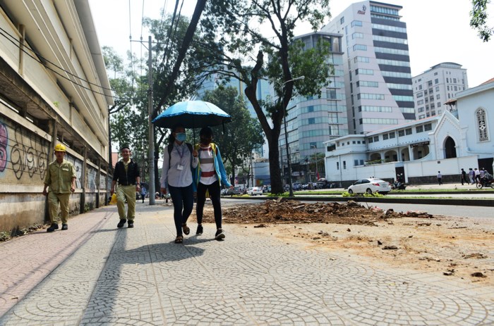 Đường Tôn Đức Thắng thay đổi bất ngờ sau khi hàng cổ thụ bị đốn hạ