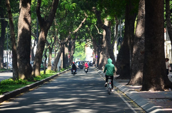 Đường Tôn Đức Thắng thay đổi bất ngờ sau khi hàng cổ thụ bị đốn hạ Đường Tôn Đức Thắng thay đổi bất ngờ sau khi hàng cổ thụ bị đốn hạ